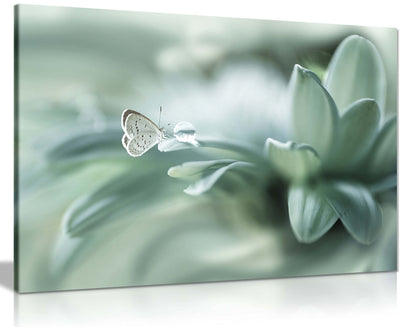 Panther Print Fine Art Prints Dew Drop & Green Pastel Butterfly Artistic Framed Canvas Print, Pictures for Home Walls, Bedroom, Living Room & Bathroom Decor 91x61cm (36x24in)