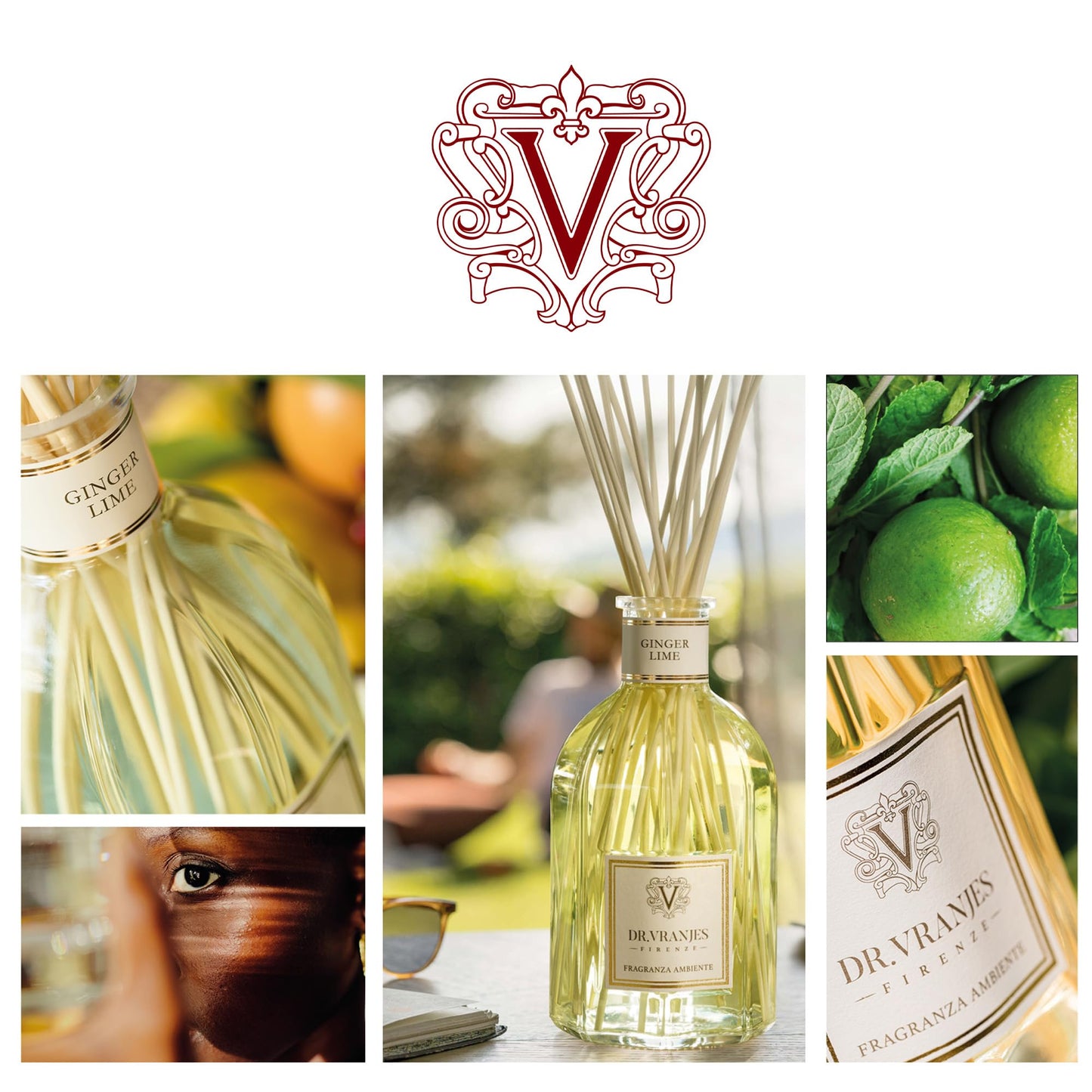 Dr. Vranjes - Ginger Lime 250 ml Diffuser + Double Pack of White Sticks (3 Pieces Bundle)- Luxury Home Fragrance, Made in Italy, Main Scent: Fruity, Olfactory Pyramid: Lime, Ginger, White Pepper
