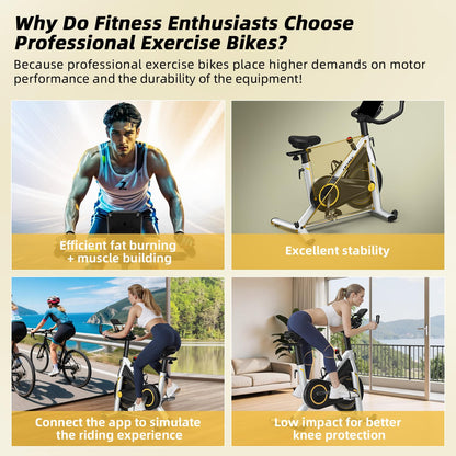 CHAOKE Exercise Bike Indoor Cycling, Stationary Bike 360LBS Capacity, Fully Adjustable Magnetic Resistance Silent Fitness Bike, Comfortable Seat, Tablet Holder for Home Gym Cardio Workout Training
